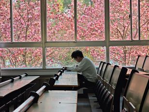 Polacy się wypowiedzieli. Mówią jasno o edukacji