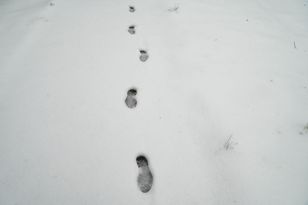 Zdradziły ich ślady na śniegu. Podejrzani w rękach policji