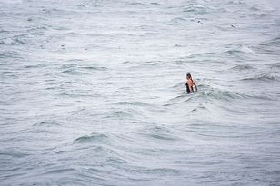 Pharmaceuticals and Artificial Hormones Detected in Baltic Sea Marine Life
