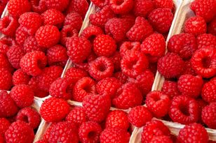 Maliny w 2026 r. droższe o 40%: nawet 35 zł/kg przez falę upałów