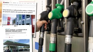 Czesi i Niemcy patrzą na ceny paliwa w Polsce. “Brzmi to niewiarygodnie”