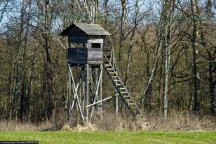 Śmierć na polowaniu. Myśliwy z zarzutami