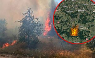 Pożar lasu na Śląsku. Dromader zrzucał wodę z powietrza