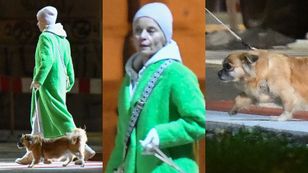 Naturalna Małgorzata Foremniak i jej pies pokonują przejście dla pieszych (ZDJĘCIA)