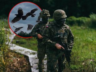 Ptaki, nie drony czy rakiety. Dlaczego wojsko się pomyliło?