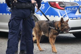 Służby przeczesywały las. Pies tropiący odnalazł 34-latka