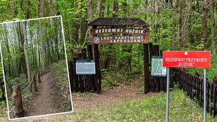 Nature reserve by highway 10 hides region's only specimen of a rare plant species