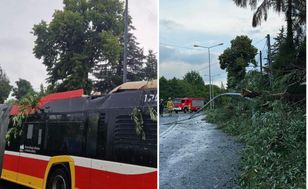 Storms in Małopolska: over 600 call-outs, tree crushes carriage in Targanice