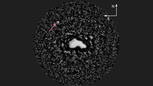 Asteroida 44 Nysa: trójczłonowa budowa i własny księżyc — odkrycie astronomów