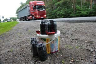 Przekręty na jagodach. Oto jak sprzedawcy kantują na słoikach