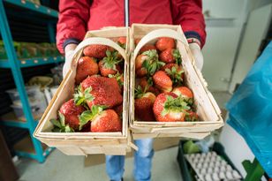 Wystawił na sprzedaż polskie truskawki. Internauci oburzeni
