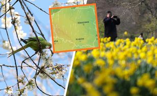 Fala ciepła wleje się do Polski. Już w tym tygodniu temperaturowy szok