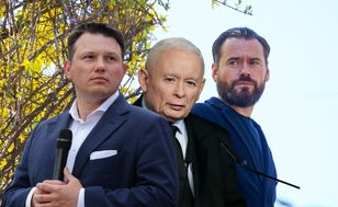 Opozycja przejęła narrację ws. artystów. Ogromna przewaga w sieci