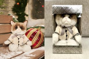 Za tę maskotkę chcą choćby 800 dolarów. Powód jest na kokardzie kota