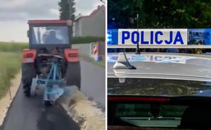 Wiadomo, co stało się z psem rolnika z Gliwic. Policja tłumaczy