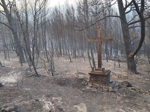 Pożar na chorwackiej wyspie Korczula — ponad 200 strażaków walczy z ogniem