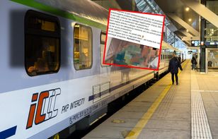 Dogs on train seats spark passenger outrage — what do PKP rules say?