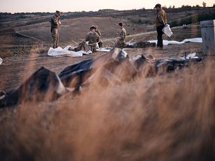 Samobójstwa rosyjskich żołnierzy na froncie. Skutek izolacji i ataków dronów