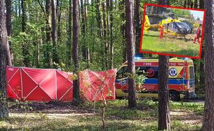 Tragedia na koniach. Dziecko nie żyje. Mężczyzna był pijany