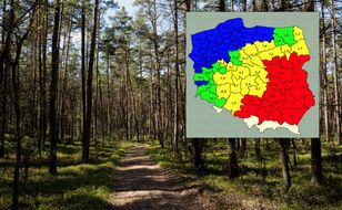 Kampinos: zakaz używania ognia do 14 maja