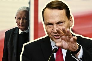 "Cyniczny" Kaczyński nie chce programu SAFE. Sikorski odpiera zarzuty