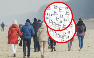 Tak ma wyglądać wiosna. Najnowsza długoterminowa prognoza pogody