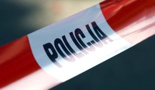 Strzał z broni na polowaniu. Myśliwy nie żyje