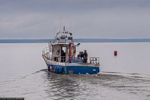 80 załóg ruszyło na Zalew. Zaczęły się żniwa