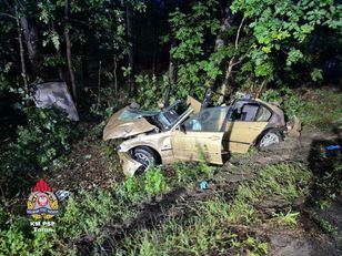 19-year-old passenger killed after car hits fallen tree on road near Toruń
