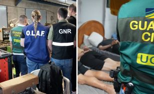 Międzynarodowa akcja policji. Zabezpieczono 38 ton tytoniu