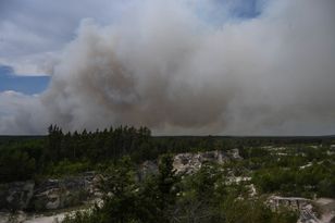 Pożar na Lubelszczyźnie trawił Puszczę Solską. "Wizytówka zmiany klimatu i naszych polskich zaniedbań"