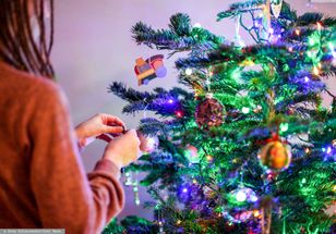 Jak nie polskie, to jakie? Choinkowe żniwa trwają. Ceny przed świętami