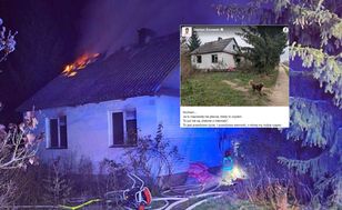 Pies na zgliszczach domu. Czeka na właściciela, który zginął