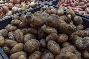 Washed Potatoes Turn Toxic Faster — Buy the Dirty Ones