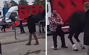 Agresor z targów końskich podwójnie ukarany. Wiadomo, kim jest