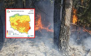 Ekstremalna podatność na zapalenie. Pilny alert RCB