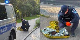 Sopot: policja uratowała potrąconego przez auto lisa i zawiozła go do weterynarza