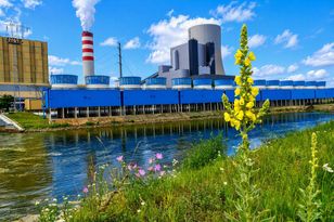 Vistula near Kozienice power plant has limited impact on river ecosystem, study finds