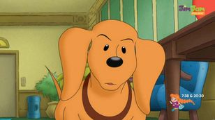 Polsat JimJam z czeską koncesją na 12 lat