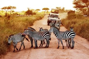12-Day Namibia Safari: Deserts, Ocean and Exotic Wildlife