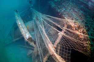 WWF wyłowiło ponad 300 ton sieci-widmo z Bałtyku