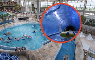 Chemical leak at Reda aquapark kills sharks and other fish