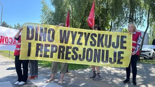 "Buraczana siatka" i fala protestów. Jak Dino zarządza wizerunkowym kryzysem