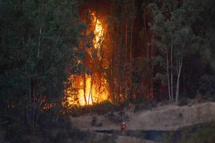 One of Spain's largest ever wildfires extinguished in Huelva province