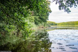 15-latek utonął na obozie harcerskim. Opiekun i ratownik staną przed sądem