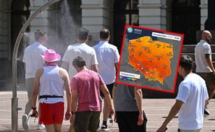 Upały nie odpuszczą. Takie będą temperatury w najbliższych dniach