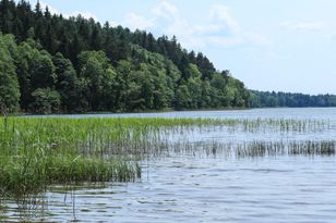 Z dna jeziora Hańcza wydobyto pierwszy fragment śmiercionośnej sieci widmo
