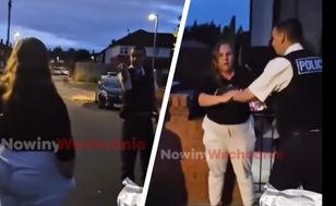 Przepychanka Polski z brytyjskim policjantem. Jest nagranie