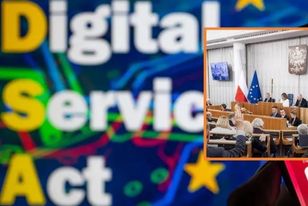 Blokowanie treści tylko za zgodą sądu, Senat wprowadza poprawki do cyfrowej ustawy