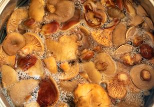 Oto jak należy gotować grzyby. Wiedzą o tym tylko najlepsze gospodynie